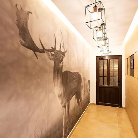 Complex Vazrozhdentsi リゾート トリャブナ