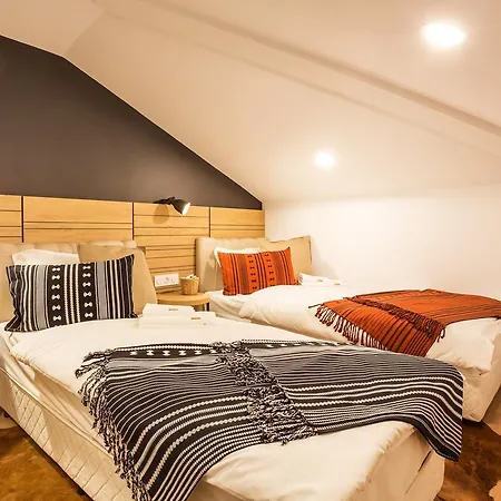 Complex Vazrozhdentsi 3* トリャブナ