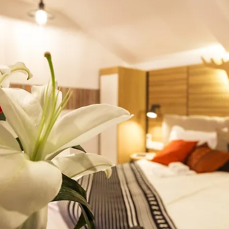 リゾート Complex Vazrozhdentsi 3*